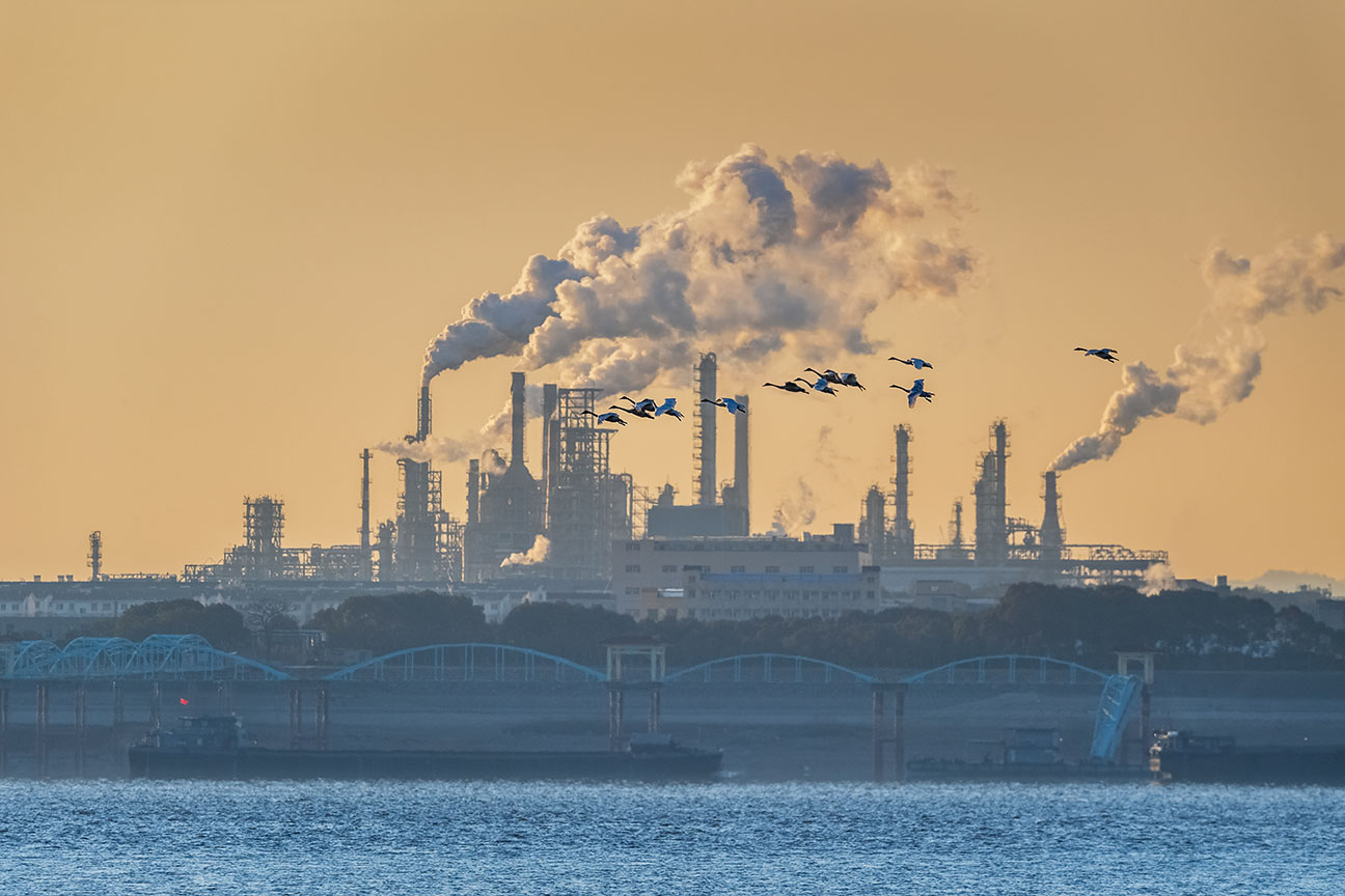 How Asia Stacks Up On ESG